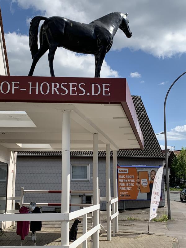 houseofhorses.de Aktuelles